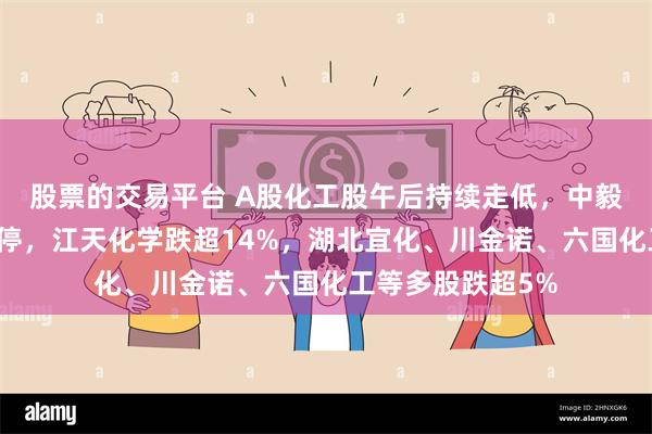 股票的交易平台 A股化工股午后持续走低，中毅达、鲁北化工跌停，江天化学跌超14%，湖北宜化、川金诺、六国化工等多股跌超5%