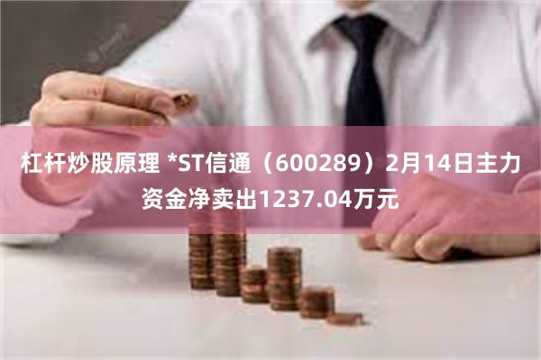 杠杆炒股原理 *ST信通（600289）2月14日主力资金净卖出1237.04万元